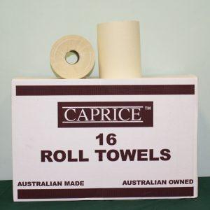 100m Roll Towel