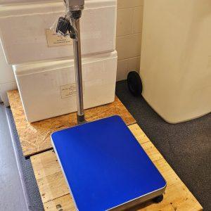 Digital Platform Scales - 75kg